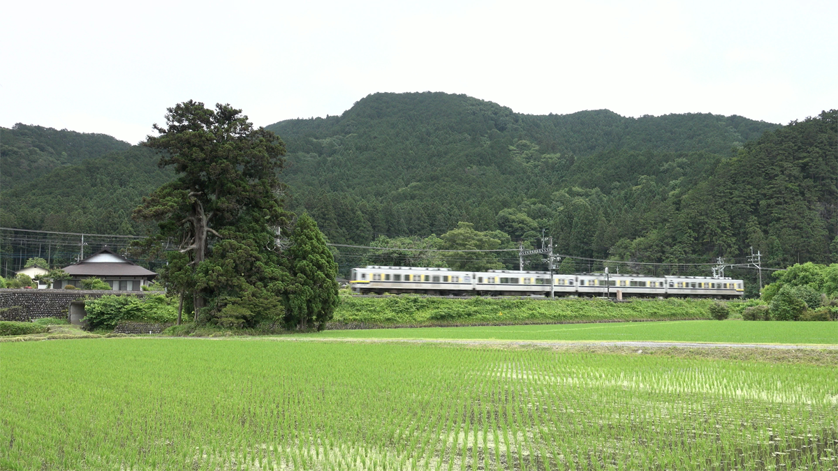 ニッポンぶらり鉄道旅「東武日光線　栃木の真骨頂」